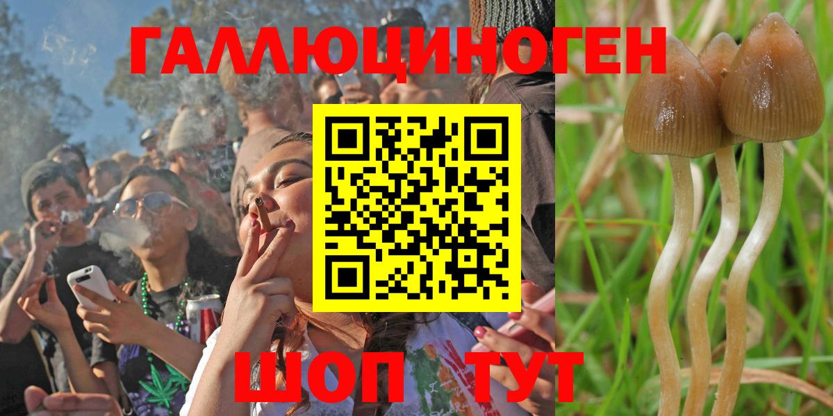 Галлюциногенные грибы мицелий Сибай