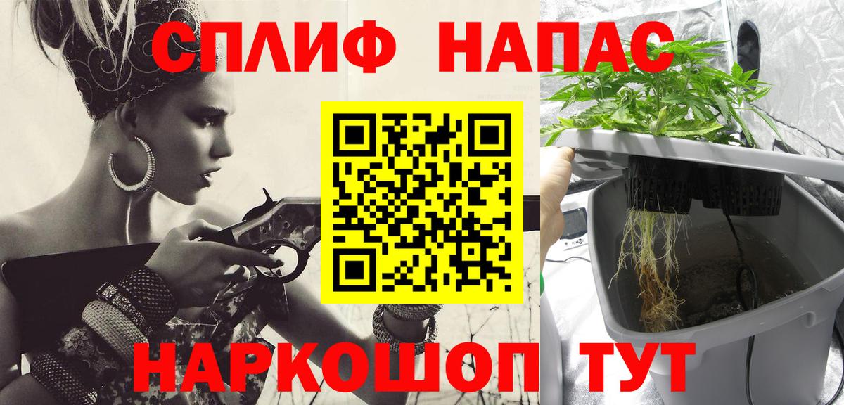 Бошки марихуана семена Сибай